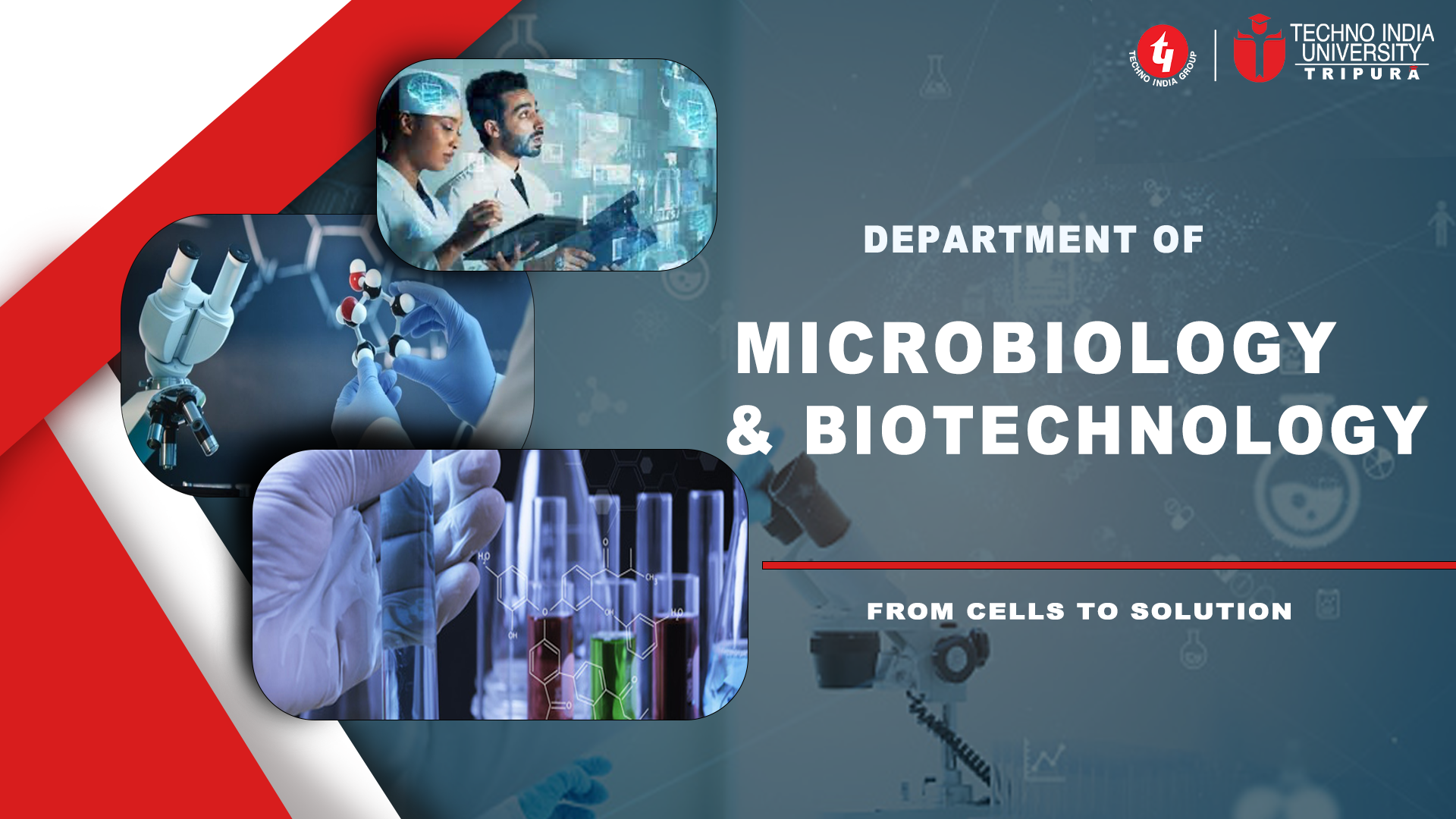 Microbiology and Biotechnology